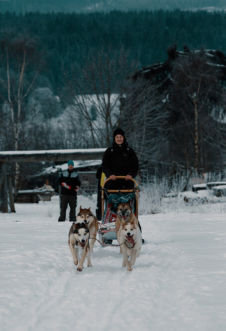 Mushing - jízda se psím spřežením