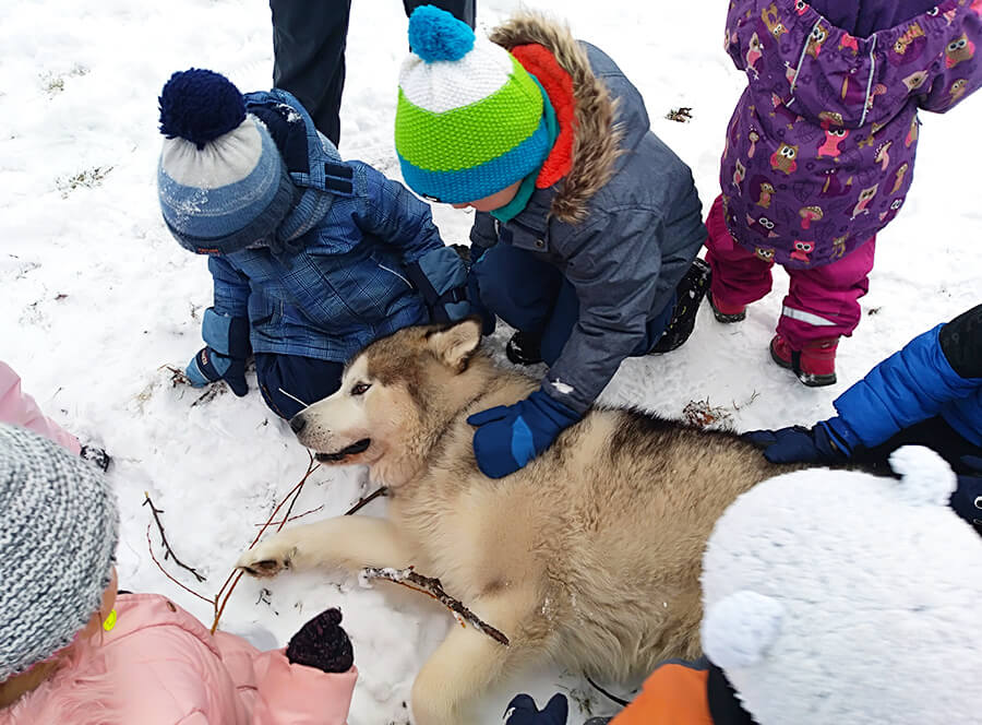 Dětský mushing