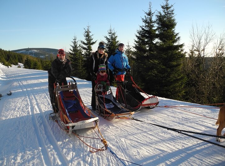 Mushing - jízda psím spřežením v Krkonoších