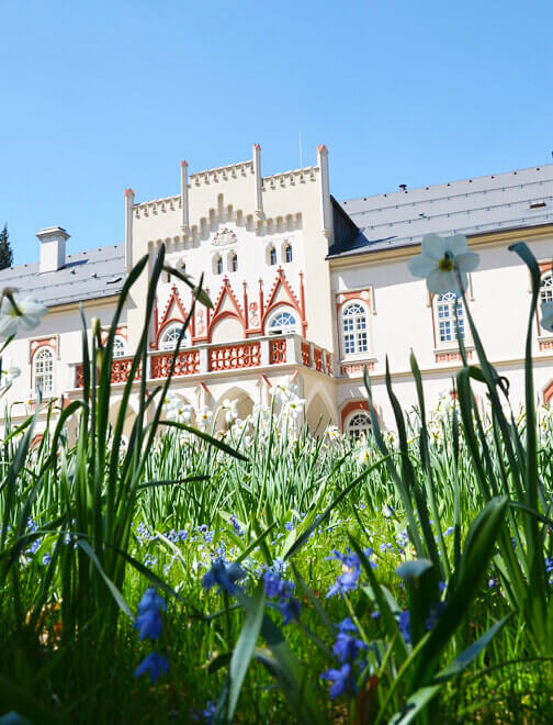 Líbánky na zámku Chateau Herálec