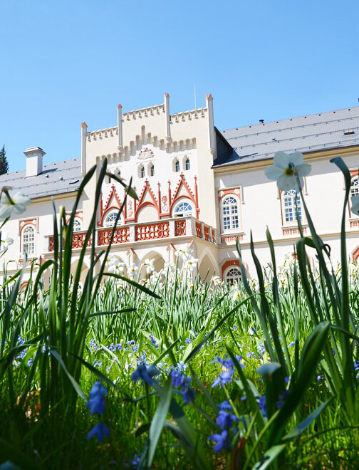 Líbánky na zámku Chateau Herálec