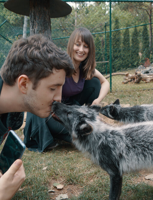 Návštěva polárních lišek s krmením