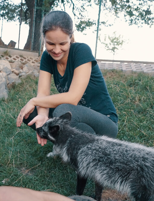 Návštěva polárních lišek s krmením