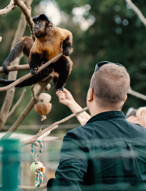 Staňte se ošetřovatelem v ZOO Tábor
