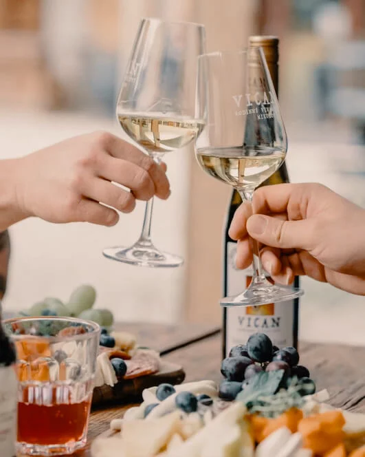 Degustace vína ve sklípku v centru Brna