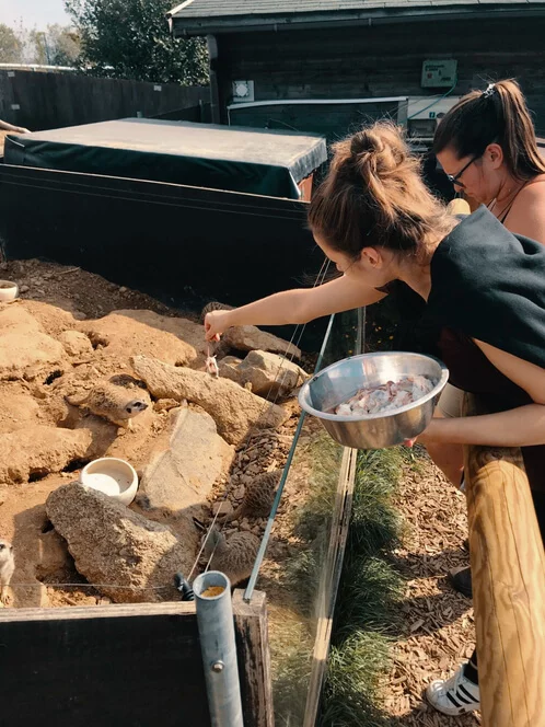 Staňte se ošetřovatelem v ZOO Tábor