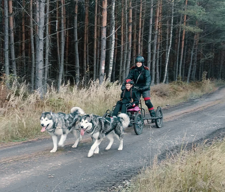 Mushing pro děti – jízda se psím spřežením