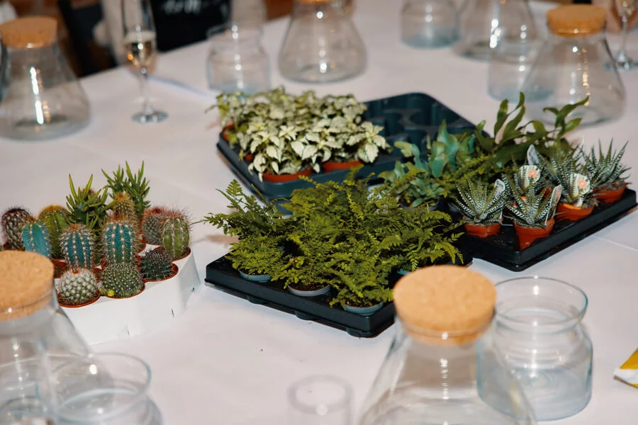 Workshop tvoření mechárií v Praze