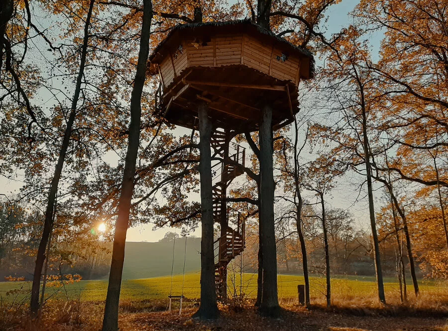 Ubytování v Tree House