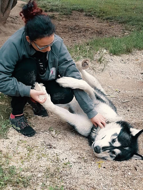 Mushing - jízda se psím spřežením