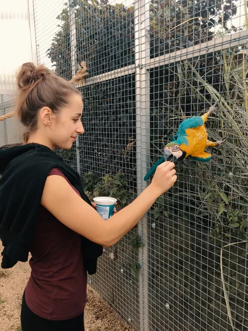 Staňte se ošetřovatelem v ZOO Tábor