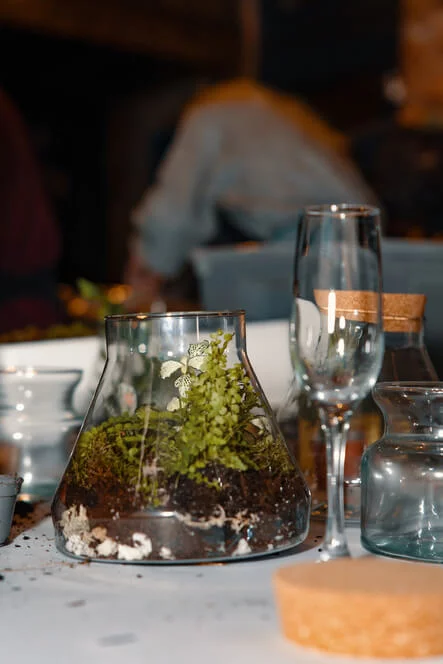 Workshop tvoření mechárií v Praze