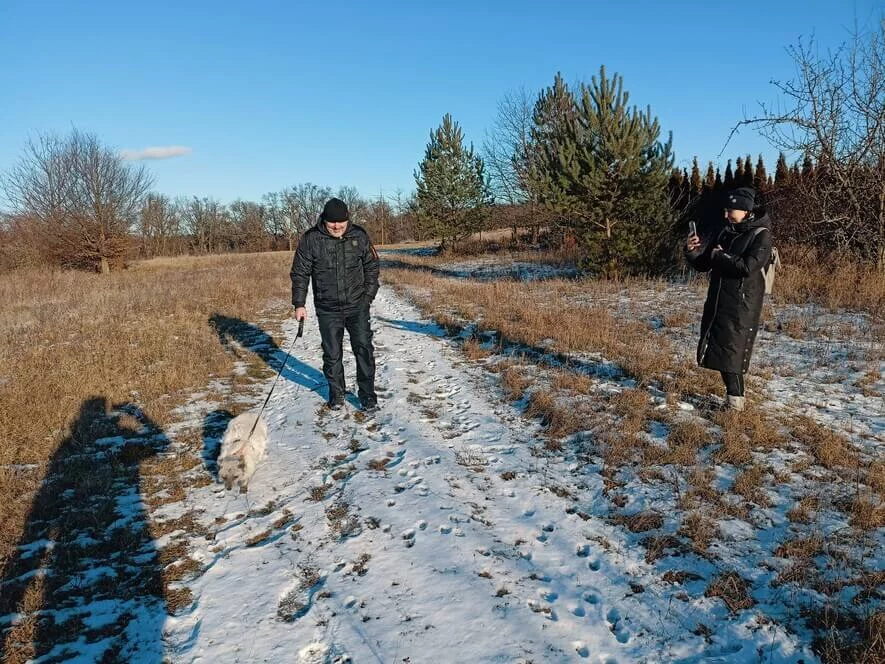Návštěva polárních lišek s krmením a procházkou