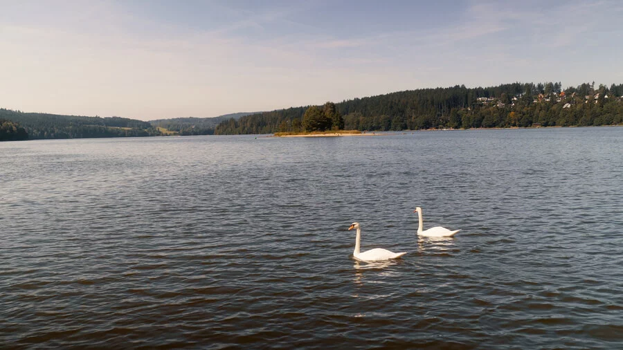 Romantická večerní plavba pro 2 osoby