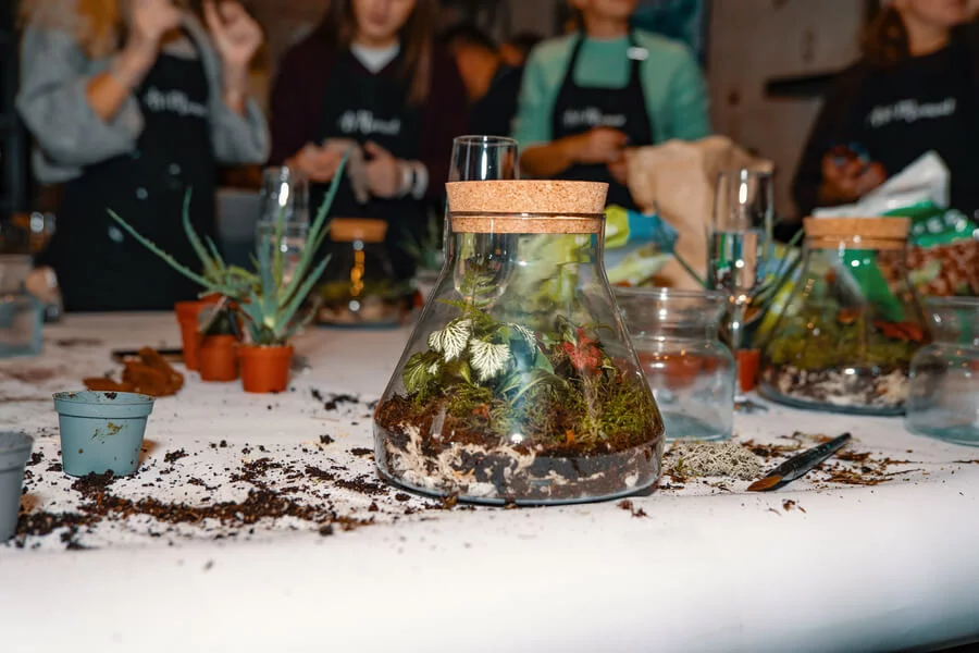 Workshop tvoření mechárií v Praze