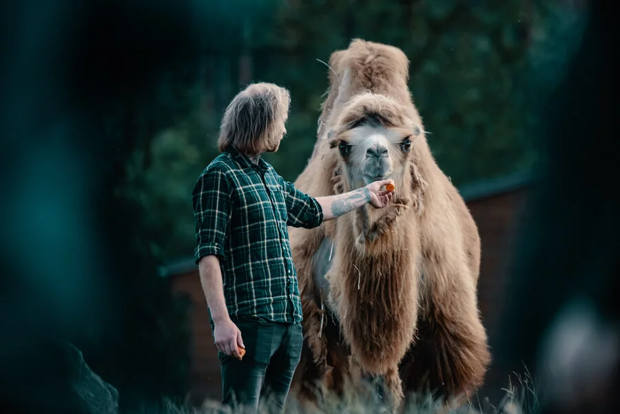 Staňte se ošetřovatelem v ZOO Tábor