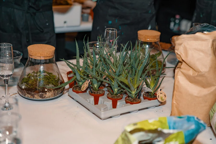 Workshop tvoření mechárií v Praze