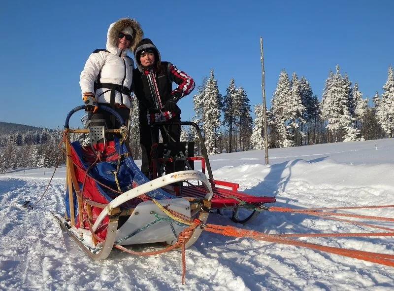 Mushing - jízda psím spřežením v Krkonoších