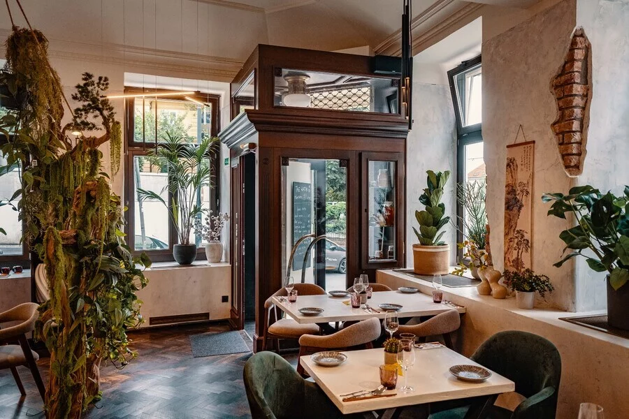 Degustace 7 chodů v restauraci Katchi