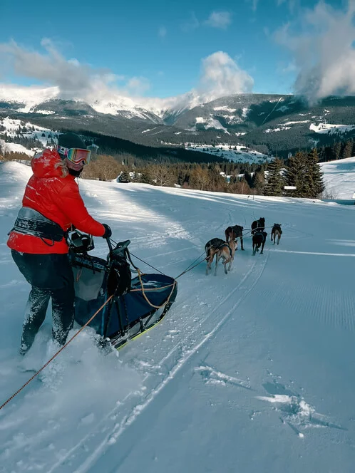 Mushing - jízda psím spřežením v Krkonoších