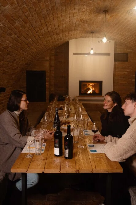 Degustace vín z Vinařství Fučík