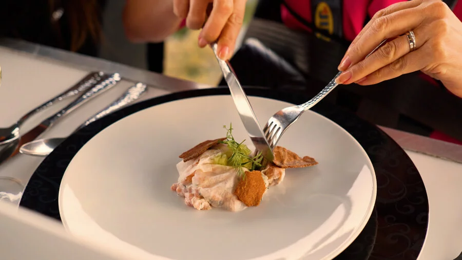 Dinner in the Sky PREMIUM