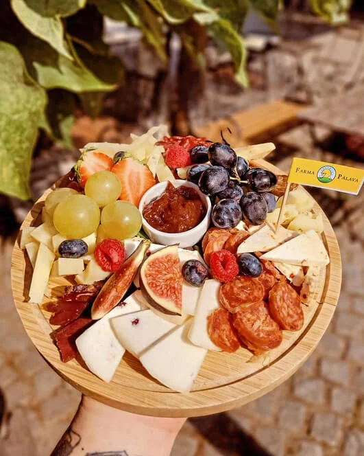 Degustace vína ve sklípku v centru Brna