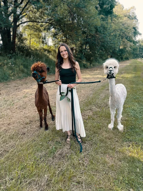 Procházka s alpakami v Hluboké nad Vltavou