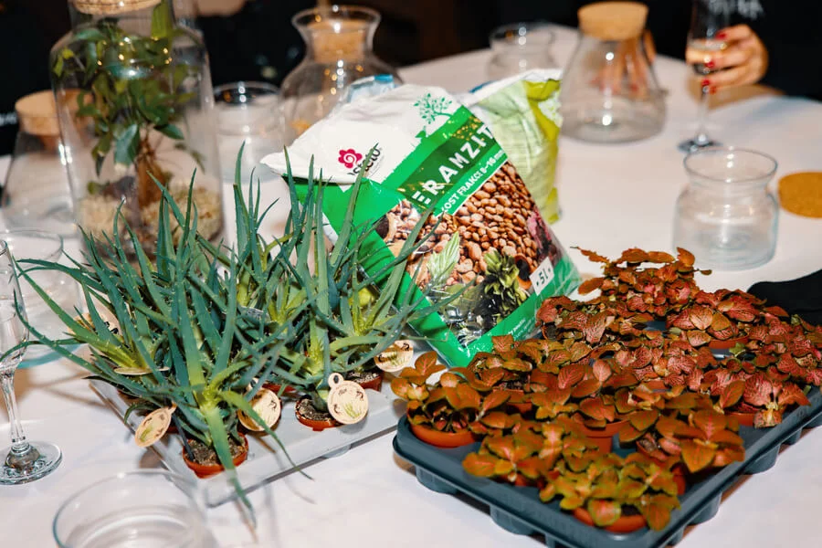 Workshop tvoření mechárií v Praze