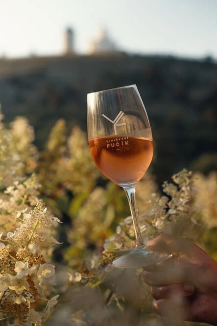 Degustace vín z Vinařství Fučík