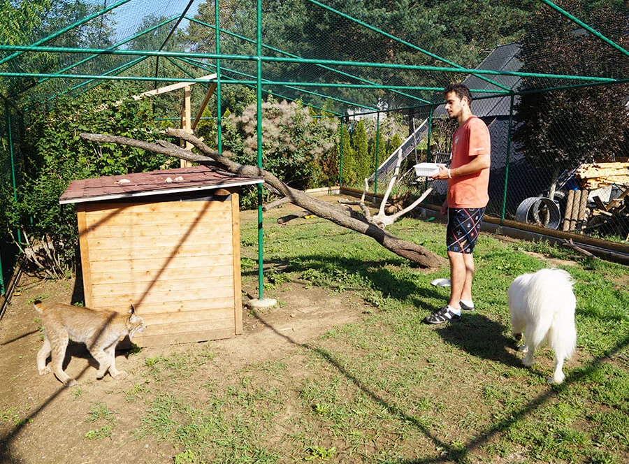 Celodenní péče nejen o kočkovité šelmy