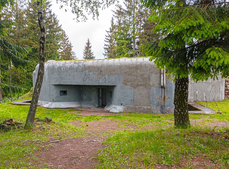 Rodinný pobyt v treehouse