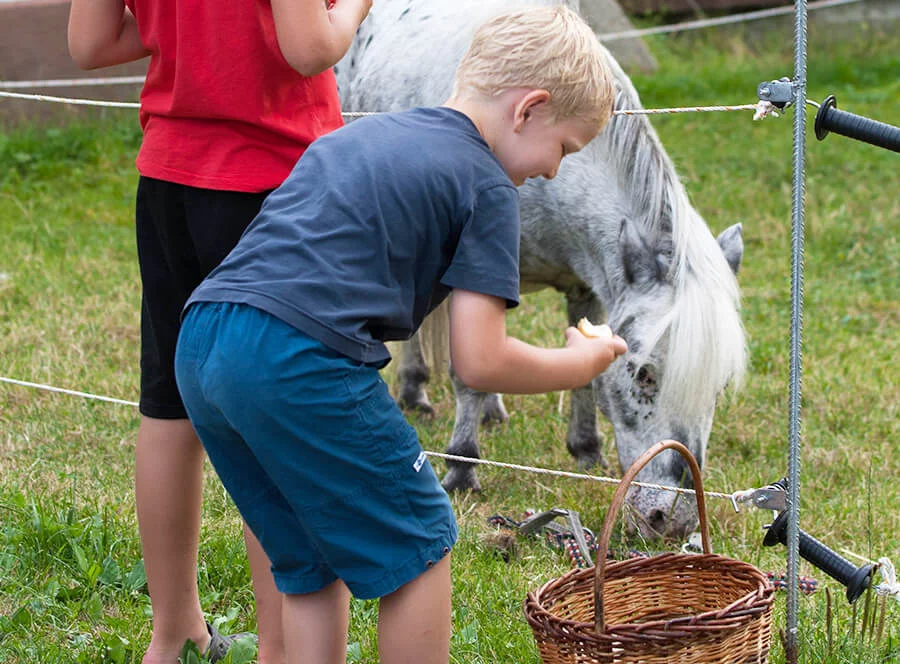 2 dny na statku Stein s přespáním