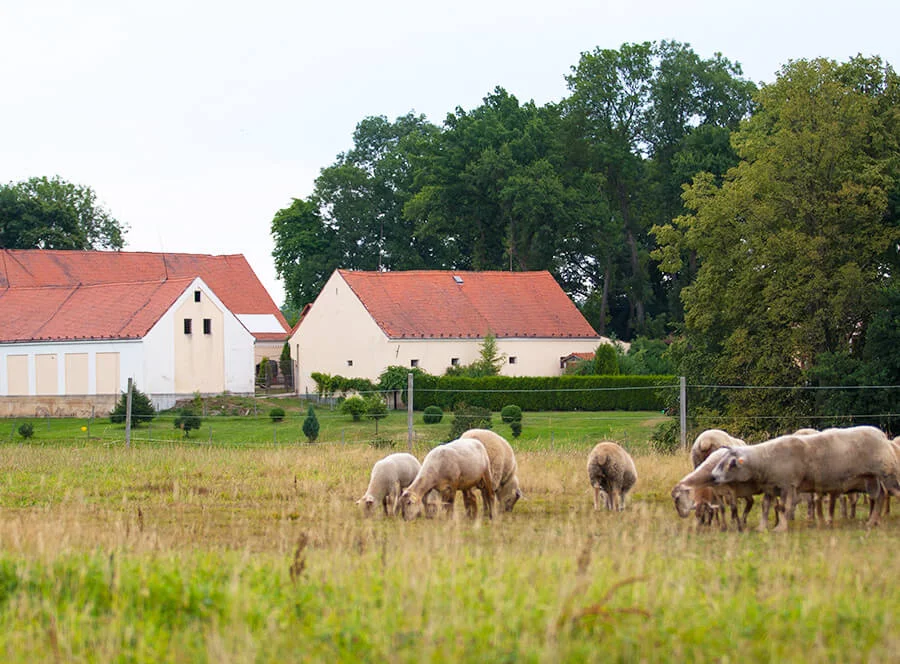 Wellness víkend v Resortu Stein