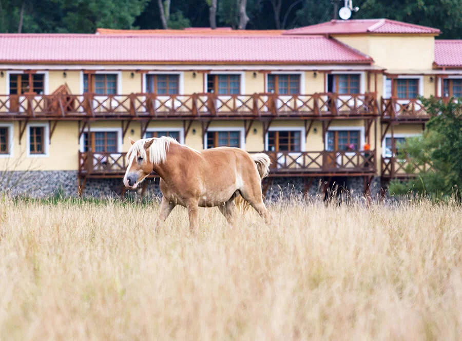 Wellness víkend v Resortu Stein