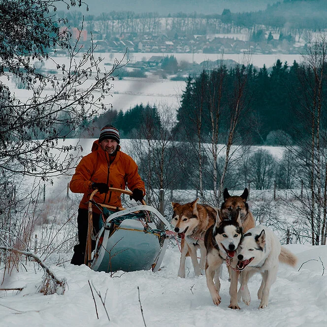 Mushing - jízda se psím spřežením