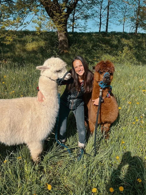 Procházka s alpakami v Hluboké nad Vltavou