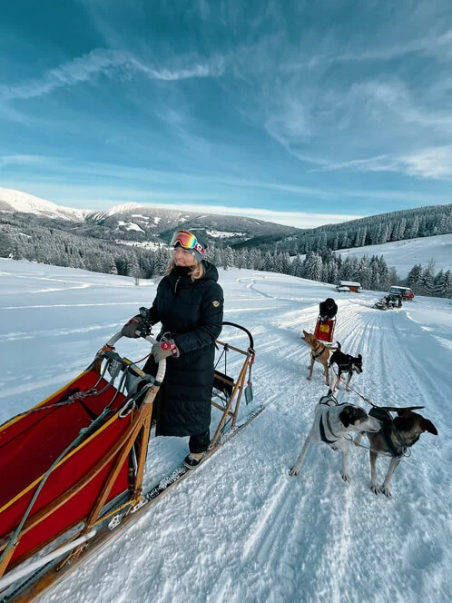 Mushing - jízda psím spřežením v Krkonoších