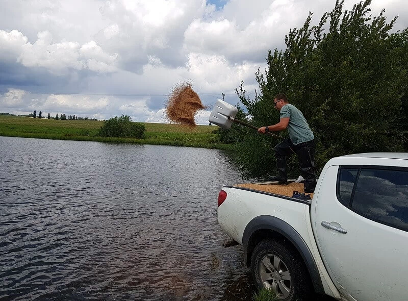 Chovatelem ryb na zkoušku