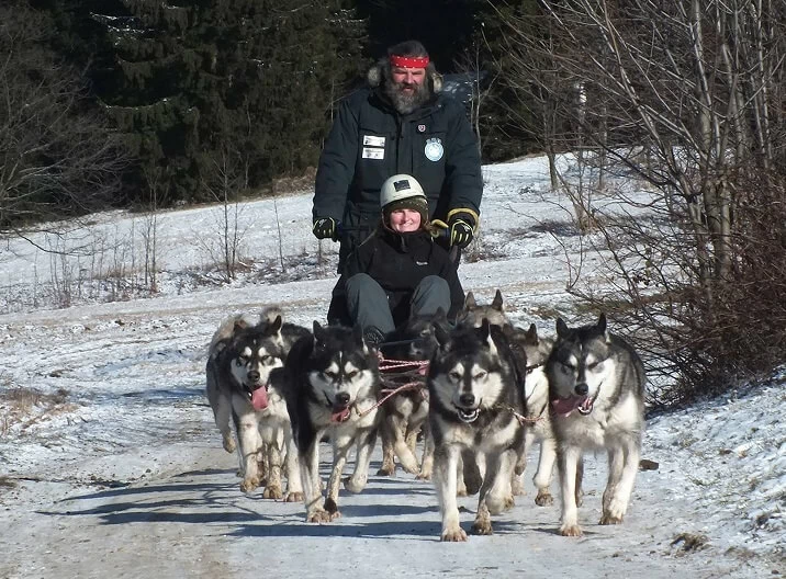 Mushing - jízda se psím spřežením