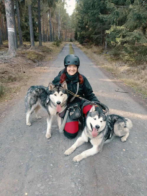 Mushing pro děti – jízda se psím spřežením Mushing pro děti – jízda se psím spřežením