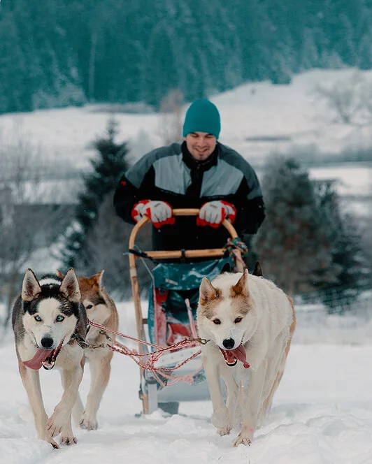 Mushing - jízda se psím spřežením