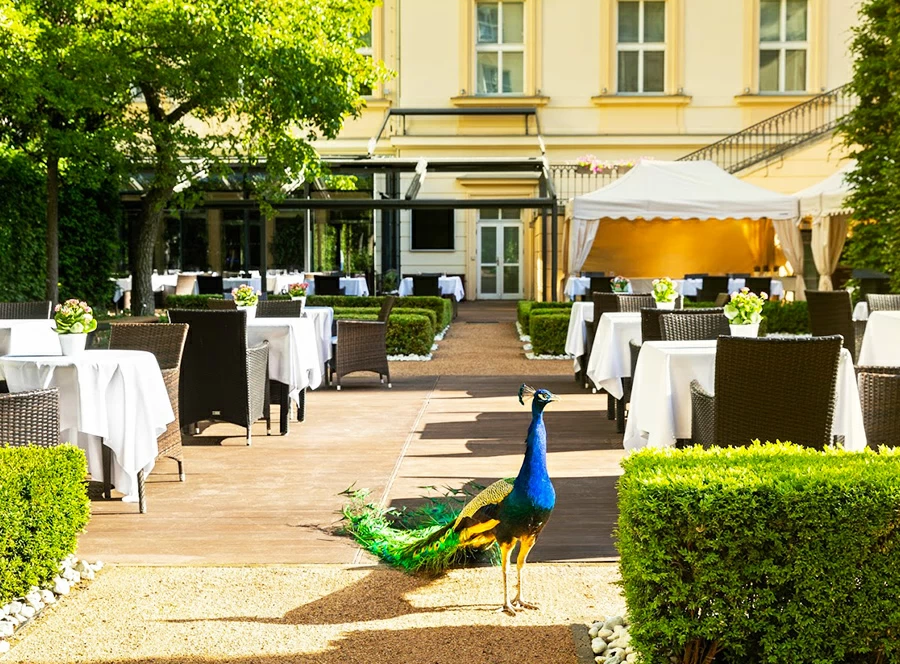 Poukaz do Le Grill Restaurace