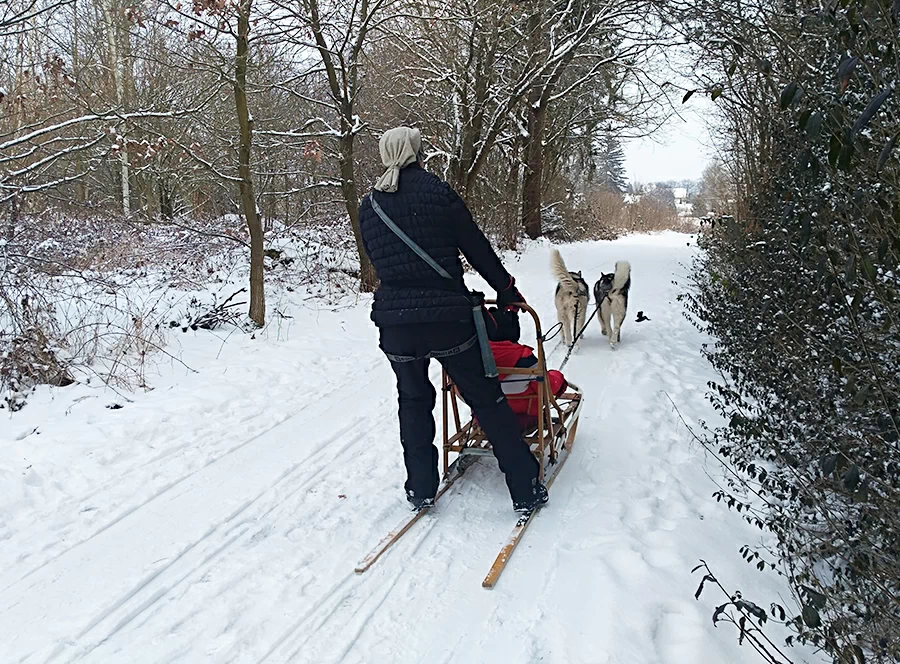 Dětský mushing