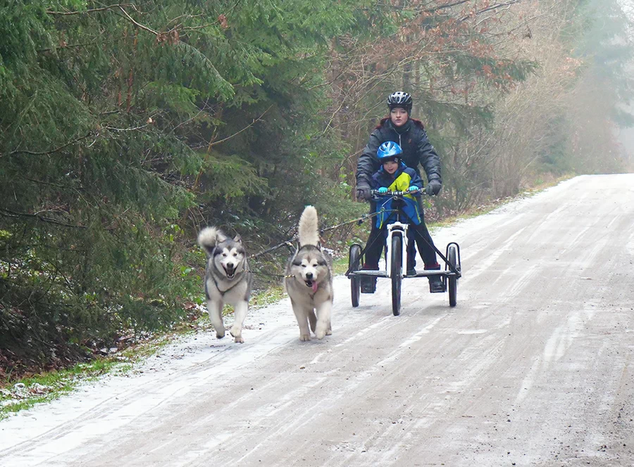 Dětský mushing