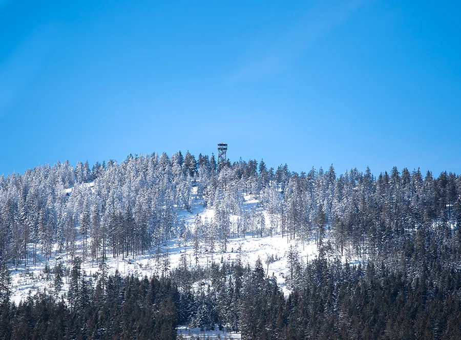 Rodinný pobyt v treehouse
