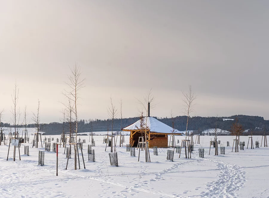 Rodinný pobyt v treehouse