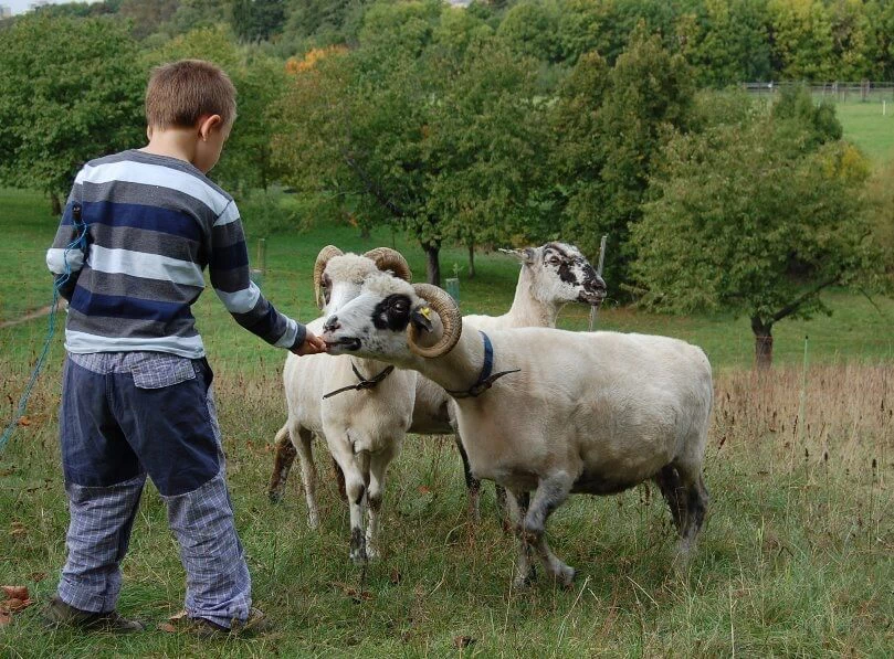 Rodina farmářů