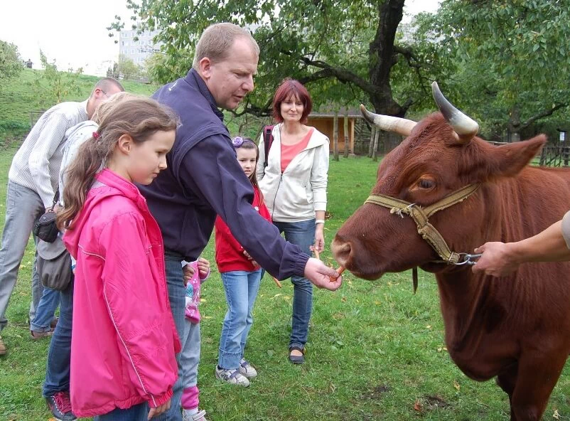 Na farmu za zvířaty