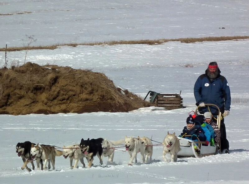 Mushing - jízda se psím spřežením